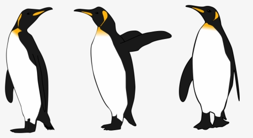 King Penguin Clip Art, HD Png Download, Transparent PNG