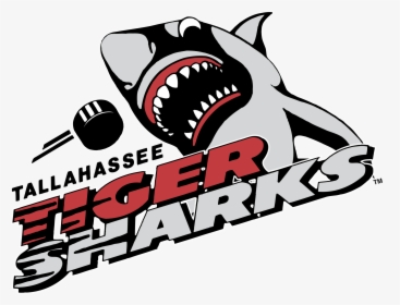 Tallahassee Tiger Sharks Logo Png Transparent - Tallahassee Tiger Sharks, Png Download, Transparent PNG
