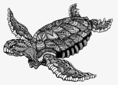 Black And White Designed Sea Turtle, HD Png Download, Transparent PNG