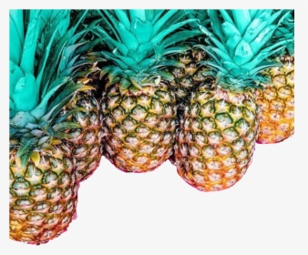 #pineapple #abacaxi #freetoedit - Very Pretty Backgrounds, HD Png Download, Transparent PNG