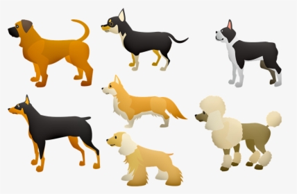 Dogs, Poodle, Large Dogs, Terrier, Pet, Animal, Play - Dogs Body Language, HD Png Download, Transparent PNG