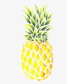 Make A Pineapple Design, HD Png Download, Transparent PNG