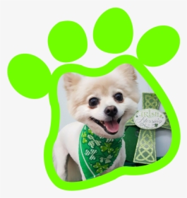 Paw Print Gallery20180315 19177 10kru5n - Companion Dog, HD Png Download, Transparent PNG