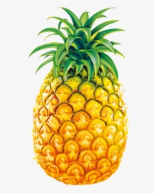 Juice Fruit Bromelain Clip - Pineapple Fruit, HD Png Download, Transparent PNG