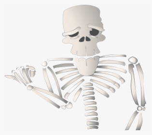 Cartoon Skeleton Png - รูป การ์ตูน โครง กระดูก, Transparent Png, Transparent PNG