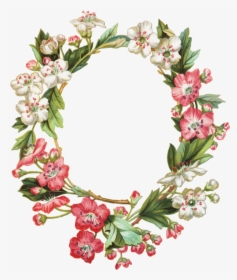 Transparent Apple Blossom Clipart - Frames Flowers, HD Png Download, Transparent PNG