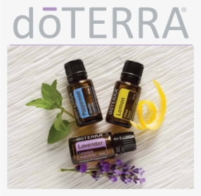 Doterra Oils Were Some Of The First Oils I Used In - Doterra Lemon Lavender Peppermint, HD Png Download, Transparent PNG