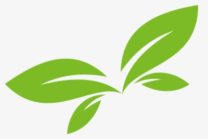 Leaf Green Euclidean Vector Design Logo Clipart - Leaf Vector Logo Png, Transparent Png, Transparent PNG