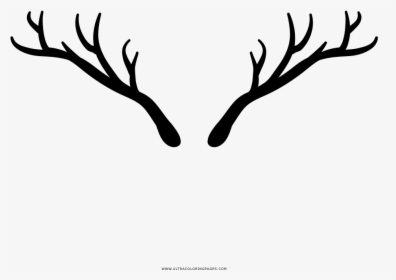 Deer Horns Coloring Page - 大穴 中学校 校章, HD Png Download, Transparent PNG