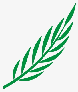 Branch Laurel Leaf Leafy Leaves Png Image - Cape Verde Coat Of Arms, Transparent Png, Transparent PNG