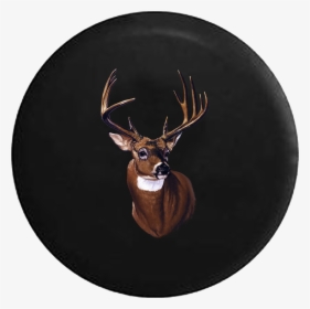 Big Buck Hunting White Tail Deer Antlers Rack - Reindeer, HD Png Download, Transparent PNG