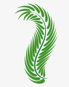 Vector Free Stock Palm Leaf Green Arecaceae Easter - Clipart Palm Leaves Png, Transparent Png, Transparent PNG