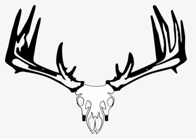 Raxx Elite Bow Holder, HD Png Download, Transparent PNG
