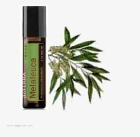 Doterra Tea Tree Touch, HD Png Download, Transparent PNG