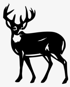 White Deer Silhouette At Getdrawings - Pittman Robertson Act, HD Png Download, Transparent PNG