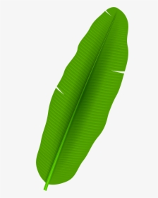 Palm Leaf Clip Art Png - Banana Leaf Clipart Png, Transparent Png, Transparent PNG