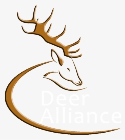Deer Alliance - Irish Stag Logo, HD Png Download, Transparent PNG