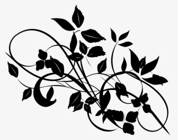 Plant,flower,leaf - Leaves And Branches Silhouette, HD Png Download, Transparent PNG