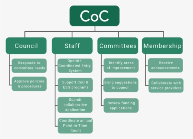 Tree Structure Of Coc Organization - Management And Organization Chart, HD Png Download, Transparent PNG