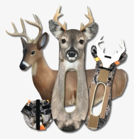 Whitetail Buck Stalkeranddrifter - Stalker Decoy Deer, HD Png Download, Transparent PNG