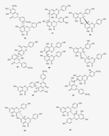 Compounds 36 45 As Examples Of Naturally Occurring - Fad, HD Png Download, Transparent PNG