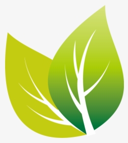 Transparent Tea Leaves Png - Transparent Leaf Vector Png, Png Download, Transparent PNG