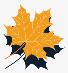 Maple Leaf Autumn - Leaf, HD Png Download, Transparent PNG