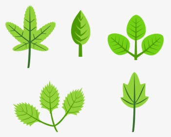 Set Of Leaves Clip Arts - Leaves Clip Art, HD Png Download, Transparent PNG