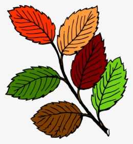 Leaves Line Art, HD Png Download, Transparent PNG