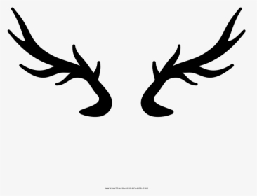 Deer Horns Coloring Page - Chifres De Veado Png, Transparent Png, Transparent PNG