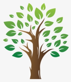 Green Tree With Leaves - Arbol Con Hojas Png, Transparent Png, Transparent PNG