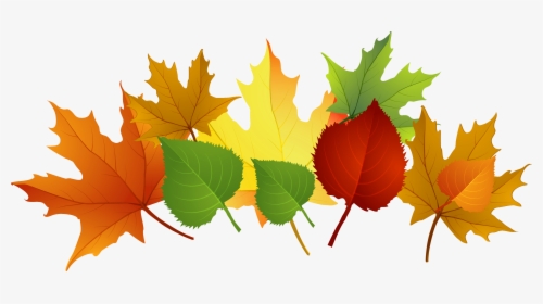 Leaf Fall Leaves Clip Art Free Vector For Free Download, HD Png Download, Transparent PNG