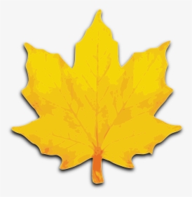 M Leaf Big Image - Maple Leaves Clip Art, HD Png Download, Transparent PNG
