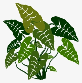 Plant,flora,leaf - Elephant Bush Plant Clipart, HD Png Download, Transparent PNG