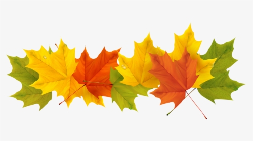 September Leaf Png - Transparent Background Fall Leaf Clipart, Png Download, Transparent PNG