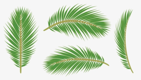Palm Tree Leaves Png - Leaf Palm Free Png, Transparent Png, Transparent PNG