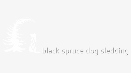 Black Spruce Dog Sledding - Darkness, HD Png Download, Transparent PNG