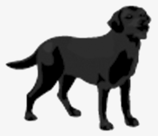 Black Dog Logo Image Transparent, HD Png Download, Transparent PNG