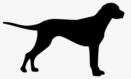 Dog, Silhouette, Animal, Domestic Dog, Farmdog - Coon Silhouette Clip Art, HD Png Download, Transparent PNG