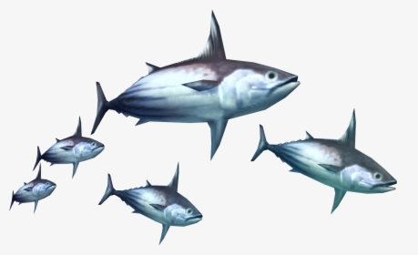 Tuna Clipart Fish Meat - Monster Hunter Tri Monster, HD Png Download, Transparent PNG