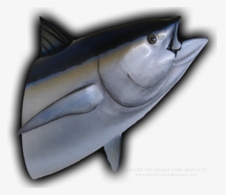 Tuna Head Mouth Open, HD Png Download, Transparent PNG