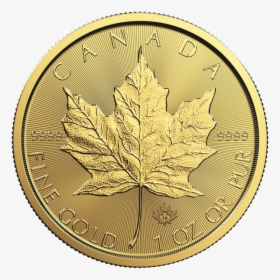 2019 Gold Maple Leaf Coin, HD Png Download, Transparent PNG