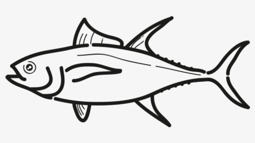 Yellowfin Tuna - Atlantic Bluefin Tuna, HD Png Download, Transparent PNG