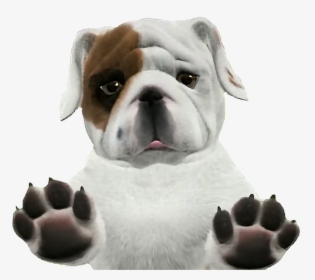 Transparent Running Bulldog Clipart - Transparent Background Bulldog Transparent, HD Png Download, Transparent PNG