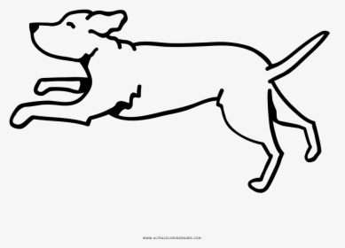 Running Dog Coloring Page - Perro Corriendo Para Dibujar, HD Png Download, Transparent PNG