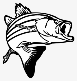 Jumping Bass Fish Clip - Black And White Bass, HD Png Download, Transparent PNG