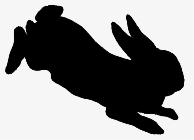 Shaow Clipart Rabbit - Rabbit Jumping Silhouette Png, Transparent Png, Transparent PNG