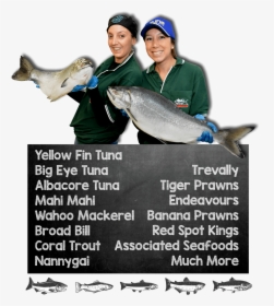 Tuna Fish Png, Transparent Png, Transparent PNG