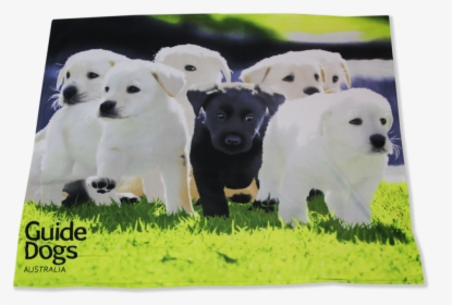 Image Of A Rug Featuring Adorable Running Puppies - Labrador Retriever, HD Png Download, Transparent PNG