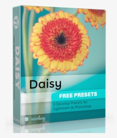 Free Lightroom Presets, HD Png Download, Transparent PNG